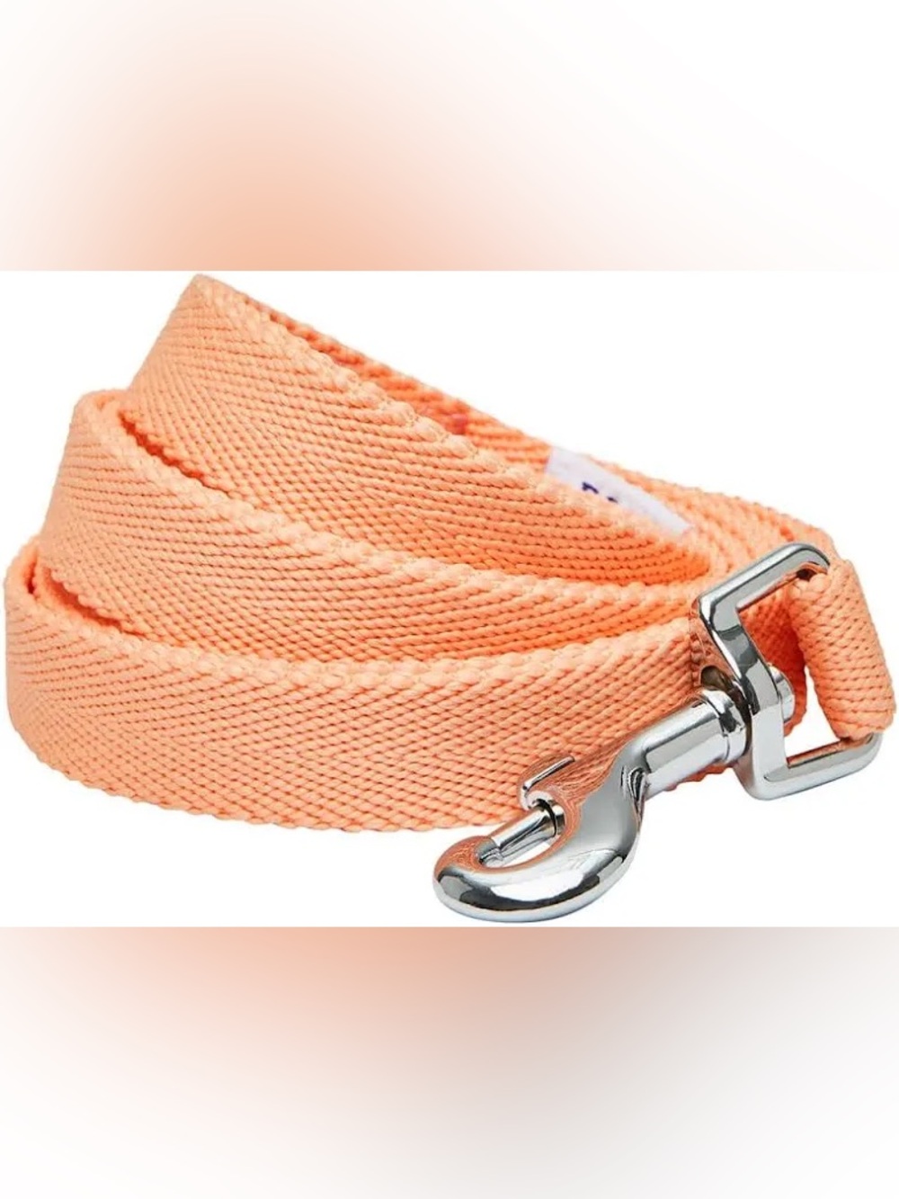 Peach Canvas Dog Leash with Silver Hook